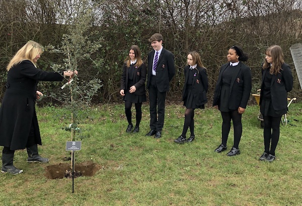 Student & Peacehaven Mayor plant a tree in the Centenary Park in commemoration of the Queen
